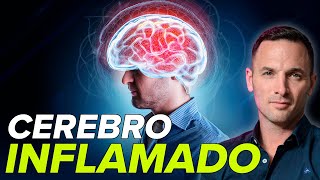 ¿Depresión o Cerebro Inflamado Sorprendente Vínculo 🤯 Encuentra la solución con estos SUPLEMENTOS [upl. by Combs]