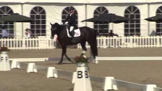 Ecco FEI European Championships 2013 Herning  ParaDressage Day 3 Highlights [upl. by Abdul]