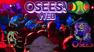 OSEES LIVE IN TUCSON 2024  quotWEBquot [upl. by Norse]