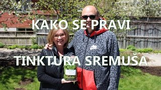 Kako se pravi tinktura sremuša i namjene Vedran i Mira Hasanagić doktori alternativne medicine [upl. by Allana]