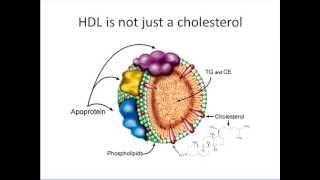 Novel causative relatioship between low and dysfunctional HDL and NAFLD [upl. by Hoshi]