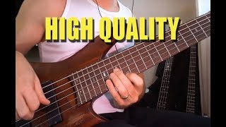 IBANEZ SR 506 Bass Review  Great 6 String Bass Tone [upl. by Laaspere]