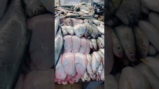 Sagar fish belathur Kadugodi viralvideo fish sea cookingshorts shorts food [upl. by Chubb]