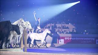 filmpje Friesian Proms en Hengstenkeuring 2020 [upl. by Ecyar]