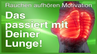 Rauchen aufhören Motivation  das passiert mit der Lunge [upl. by Oivatco589]