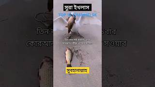 রিজিকেরমালিকএকমাত্রআল্লাহqurantilawattrendingshareliforyoureelshmshortsbd share [upl. by Alejandro]