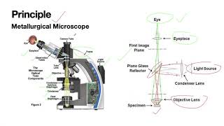 Metallurgical Microscope Lab Experiment [upl. by Alyssa]