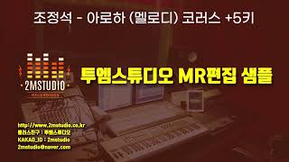 결혼식 축가 MR 음악 편집 조정석아로하멜로디 코러스 5키 [upl. by Tacy139]