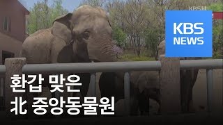 북한 영상 중앙동물원 개관 60주년  KBS뉴스News [upl. by Bassett]