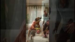 FURIA y LEALTAD La Tragedia de un PERRO 😭😭 tragedia perrorabia perrosvirales vidareal [upl. by Esirec404]