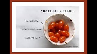 Phosphatidylserine Benefits [upl. by Navnod196]