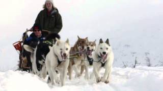 Dog Sledding in Norway [upl. by Forest943]