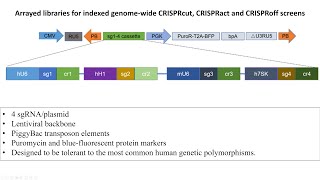 Understanding prion neurodegeneration using arrayed genomewide perturbation [upl. by Gipsy152]