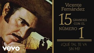 Vicente Fernández  Qué Tal Te Va Sin Mí Tema Remasterizado Cover Audio [upl. by Lois847]