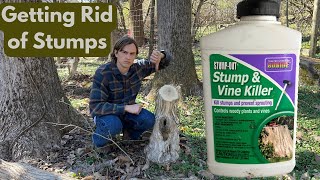 How to Get Rid of Old Stumps using Stump amp Vine Killer [upl. by Harneen212]