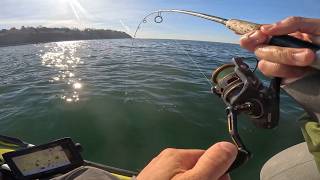 Long Island Sounds BEST Crab Eaters Caught from the Kayak [upl. by Sonnie]