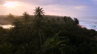 Surfing Los Tubos Manati Puerto Rico 4k [upl. by Aned2]