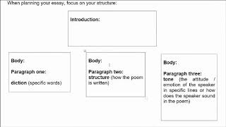 Remember stepbystep guide to writing the poetry literature essay [upl. by Akemat]