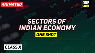 Sectors of Indian Economy class 10 full chapter Animation  Class 10 Economics Chapter 2 CBSE [upl. by Sturdivant]