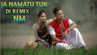 Ja Namatu Tuk Dj Remix Nitish Music Maya Siri Riri Assamese New DJ Song 2024 [upl. by Roddy]