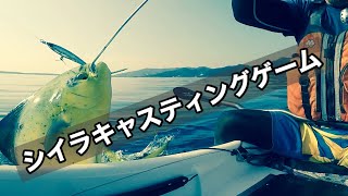 【カヤックフィッシング 】カヤックキャストでシイラを釣ると危険です [upl. by Purse110]