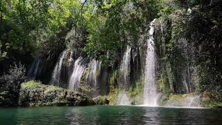 Relaxing Forest Waterfall Nature Sounds Birds SingingSoothing Natural Sound of Water Relaxation [upl. by Perl]