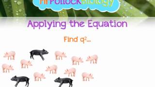 MrPollockBiology QampA 6 The HardyWeinberg Principle [upl. by Nivan]