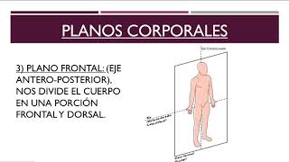 Coordinación en los Planos corporales Ejercicios y Actividades [upl. by Annavoj]