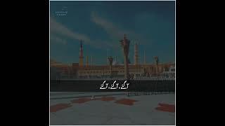 NFAK  WHATSAPP STATUS  QAWALI ❣️foryou nusratfatehalikhan qawwaliforyoupage 500k fypシ゚ [upl. by Anayk]