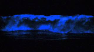 Red Tide  Bioluminescence San Diego 2011 [upl. by Rather]