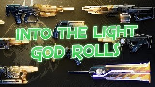 The God Rolls of Into The Light Weapons Mountaintop Recluse Edge Transit amp More [upl. by Maleen]