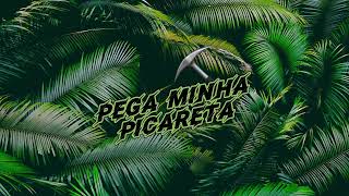 PEGA MINHA PICARETA ⛏️  DEEJAY TELIO  RENNAN DA PENHA  SAVANAH [upl. by Staten]