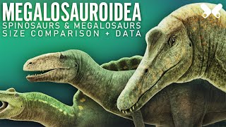 SPINOSAURS and other MEGALOSAUROIDS  Dinosaurs size comparison and data [upl. by Amaras]