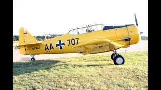 Luftwaffe CCF Harvard MkIV T6 „Texan“ FlugWerk GmbH Taxiing amp Display [upl. by Orazio]