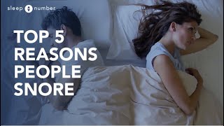 What Are The Top 5 Reasons People Snore [upl. by Aihsenek524]