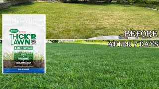 Scotts 3in1 ThickR Lawn Sun amp Shade Soil  Seed Fertilize Soil Improver  Scotts Turf Builder [upl. by Ahseinar]