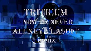 TRITICUM  Now Or Never Alexey VlasoFF remix [upl. by Jolyn104]