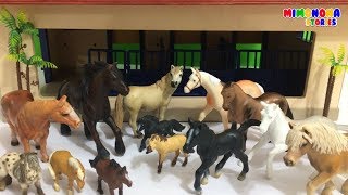 Caballos para niños 🐎  Animales de la Granja🐮🐷🐔  Videos Infantiles  Mimonona Stories [upl. by Yslek]