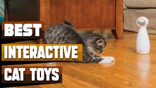 Best Interactive Cat Toy In 2024  Top 10 Interactive Cat Toys Review [upl. by Knapp]