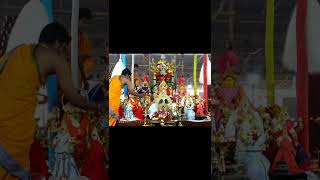 Experience Divine Bliss Sri Maha Narayana Maha Yagam in Ayodhya [upl. by Malone]