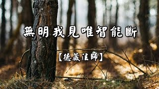 D202無明我見唯智能斷德藏法師有字幕 [upl. by Lundeen]