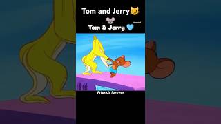 Tom and Jeri show happy funny video [upl. by Landrum547]