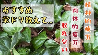 ブラック工場勤務の疲労回復に効く栄養ドリンクを教えて下さい [upl. by Forest664]