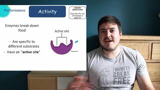 KS3 Digestive bacteria and enzymes [upl. by Niwri]