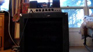 Ampeg B15NF [upl. by Ahseile393]