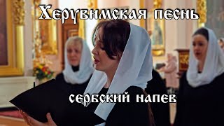 Херувимская песнь сербская  хор Воскресенского собора г Арзамас [upl. by Osric]