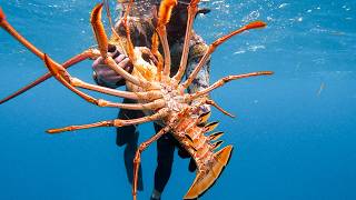 GIANT LOBSTER Bahamas Spearfishing Catch amp Cook [upl. by Elatan]