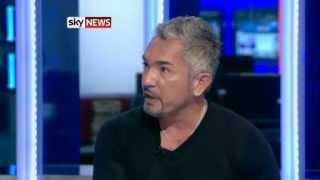 Cesar Millan Dog Whisperer Rejects Cruelty Claims [upl. by Krahling75]