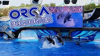 Orca Encounter Full Show HD A Killer Whale Experience  SeaWorld Orlando [upl. by Marie]