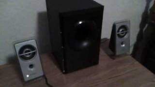 Sony SRSD21 Speaker System [upl. by Hyacintha]